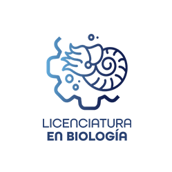 collection logo